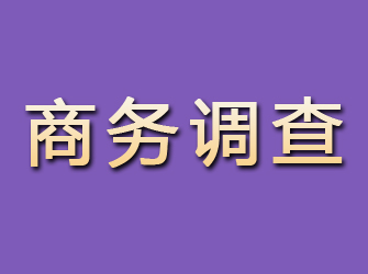 鹤城商务调查